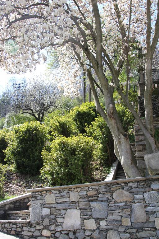 La Ciliegia Bianca Bed & Breakfast Belgirate Exterior foto