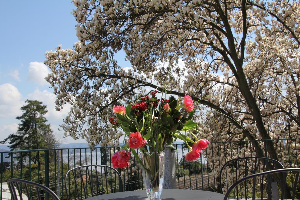 La Ciliegia Bianca Bed & Breakfast Belgirate Exterior foto